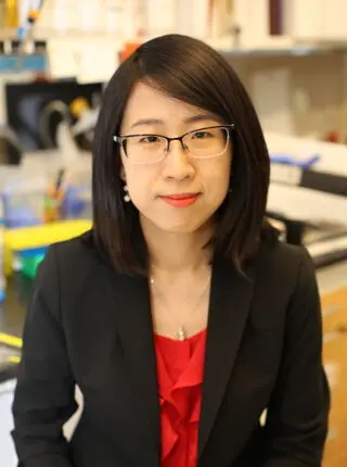 Chengcheng Jin, PhD